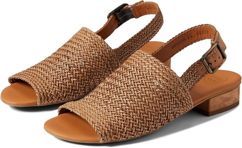 بول جرين المرأة هيلينا in Kuwait