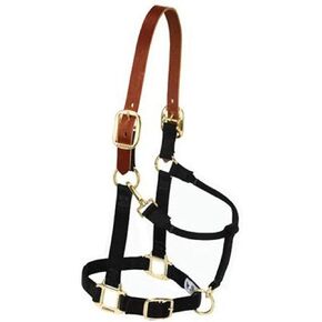 Weaver Leather Nylon Adjustable Breakaway Horse Halter, Average, Navy