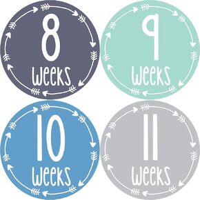 Pregnancy Weekly Belly Growth Stickers - Week to Week Pregnant Expecting Photo Prop - Maternity Keepsake - Baby Bump - Large Set of 36 Weekly Photo Sticker