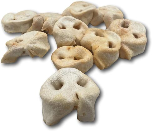 Top Dog Chews - Pig Snout Dog Treats, 12 Pack, American Made, All Natural, Long Lasting, Healthy Chews for Dogs, Perfect Training Treat for a Puppy or Small, Medium & Large Dogs in Kuwait
