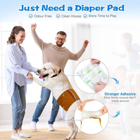 بطانات حفاضات الكلاب 100 قطعة، وسادات معززة لحفاضات الكلاب للاستعمال مرة واحدة، مقاومة للتسرب والامتصاص للغاية للإناث والذكور تناسب معظم أحزمة البطن والأغطية وحفاضات الفترة الزمنية القابلة لإعادة الاستخدام (كبير جدًا، XL-100 قيراط) in Kuwait