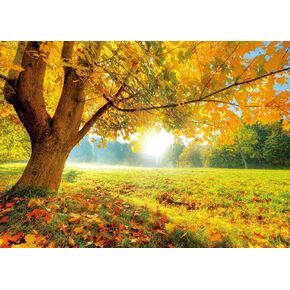 LYWYGG 7x5FT Autumn Golden Maple Deciduous Photography Background Fall Photo Backdrop Wedding Backdrop Newborn Photography Backdrops CP-189