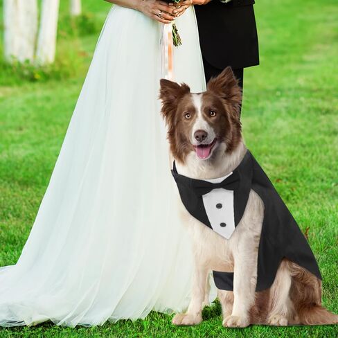 مجموعة بدلات توكسيدو وباندانا للكلاب، بدلة حفلات زفاف للكلاب، ملابس حيوانات أليفة قابلة للتعديل مع طوق ربطات عنق قابلة للفصل لزي حفلات أعياد الميلاد - مقاس XL in Kuwait