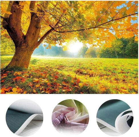 LYWYGG 7x5FT Autumn Golden Maple Deciduous Photography Background Fall Photo Backdrop Wedding Backdrop Newborn Photography Backdrops CP-189 in Saudi Arabia