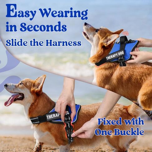 rabbitgoo Dog Harness Small Sized, Adjustable Service Dog Vest with Soft Handle & Molle, Reflective No Pull Pet Harness with Breathable Mesh, Easy Walk Pet Vest, Red, S in Saudi Arabia