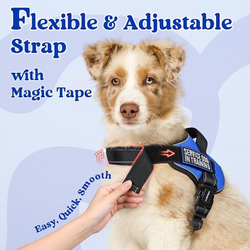 rabbitgoo Dog Harness Small Sized, Adjustable Service Dog Vest with Soft Handle & Molle, Reflective No Pull Pet Harness with Breathable Mesh, Easy Walk Pet Vest, Red, S in Saudi Arabia
