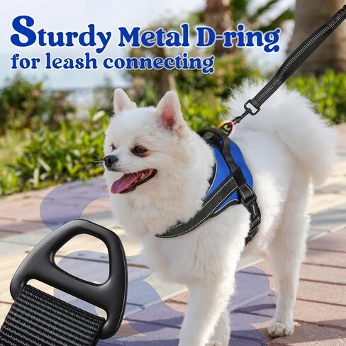 rabbitgoo Dog Harness Small Sized, Adjustable Service Dog Vest with Soft Handle & Molle, Reflective No Pull Pet Harness with Breathable Mesh, Easy Walk Pet Vest, Red, S in Saudi Arabia