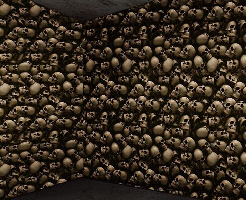 33ft Halloween Skeleton Wallpaper Party Decorations,Plastic Graveyard Skeleton Wall Backdrop,Horror Catacombs Room Scene Setters Photograph Background for Halloween Circus Haunted House Party Supplies in Saudi Arabia