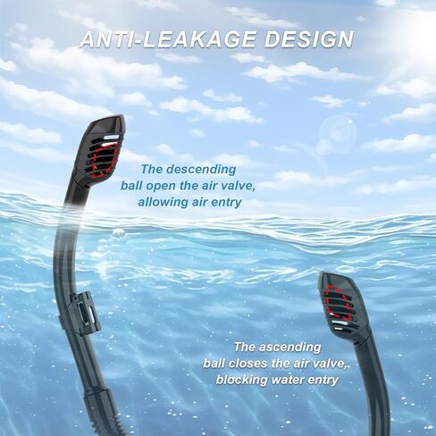 BuyCard معدات الغطس للبالغين، مجموعة الغطس الجافة مع قناع غوص ذو رؤية بانورامية، قناع غوص مضاد للضباب ومضاد للتسرب للغطس والسباحة، مجموعة أدوات الغطس باللون الأسود in Kuwait