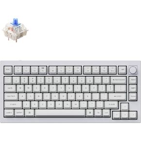 Keychron Q1 RGB Wired Custom Mechanical Keyboard, 75% Layout QMK/VIA Programmable Macro with Hot-swappable Gateron G Pro Blue Switch Double Gasket Compatible with Mac Windows Linux (White) -Version 2