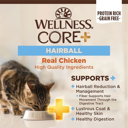 Wellness CORE+ Healthy Weight Grain Free High Protein Adult Dry Cat Food, Chicken and Chicken Meal Recipe, 4.75 Pound Bag in Saudi Arabia