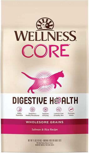 Wellness CORE+ Healthy Weight Grain Free High Protein Adult Dry Cat Food, Chicken and Chicken Meal Recipe, 4.75 Pound Bag in Saudi Arabia