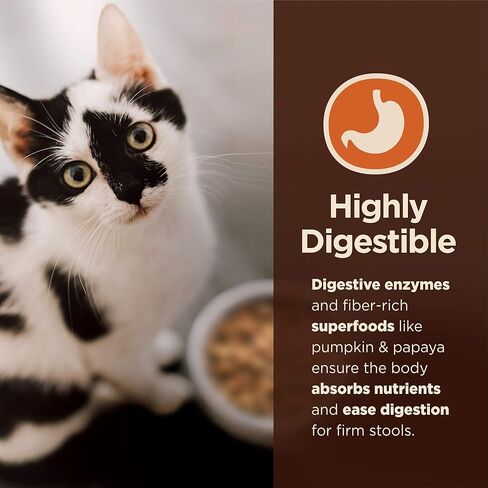 Wellness CORE+ Healthy Weight Grain Free High Protein Adult Dry Cat Food, Chicken and Chicken Meal Recipe, 4.75 Pound Bag in Saudi Arabia