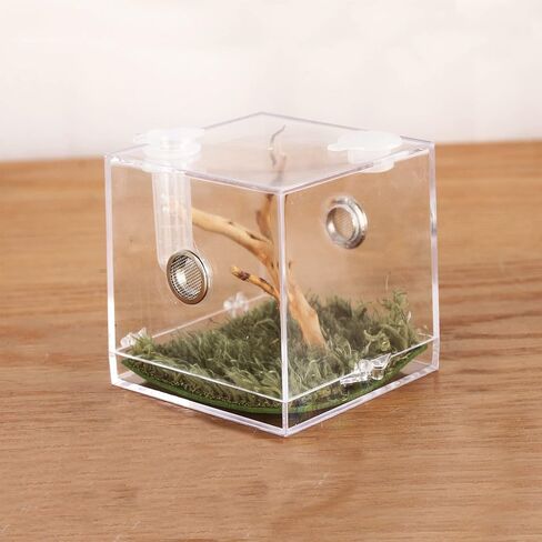 Crapelles Jumping Spider Micro Middle Habitat، صندوق تربية حشرات الحيوانات الأليفة الصغيرة، قفص زواحف شفاف عالي 360 درجة، حامل صغير من الأكريليك للبرمائيات، ملحقات حاوية التغذية in Kuwait