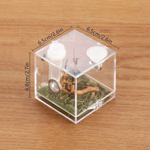 Crapelles Jumping Spider Micro Middle Habitat، صندوق تربية حشرات الحيوانات الأليفة الصغيرة، قفص زواحف شفاف عالي 360 درجة، حامل صغير من الأكريليك للبرمائيات، ملحقات حاوية التغذية in Kuwait