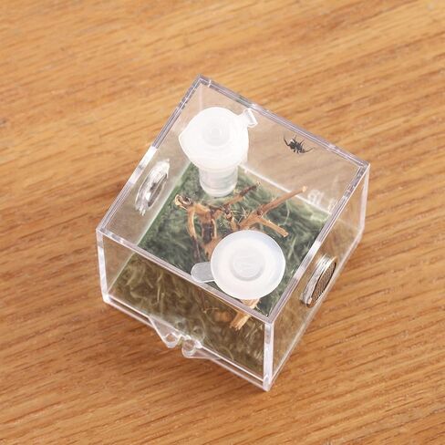 Crapelles Jumping Spider Micro Middle Habitat، صندوق تربية حشرات الحيوانات الأليفة الصغيرة، قفص زواحف شفاف عالي 360 درجة، حامل صغير من الأكريليك للبرمائيات، ملحقات حاوية التغذية in Kuwait