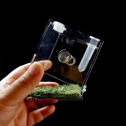 Crapelles Jumping Spider Micro Middle Habitat، صندوق تربية حشرات الحيوانات الأليفة الصغيرة، قفص زواحف شفاف عالي 360 درجة، حامل صغير من الأكريليك للبرمائيات، ملحقات حاوية التغذية in Kuwait