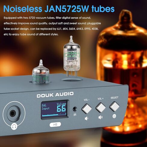 Douk Audio H7 Pro TPA3255 Balanced XLR Audio Power Amp, 2-CH 300W x 2 Hi-Fi Digital Amplifier, for Home Stereo Speakers, with Dual Channel VU Meter in Saudi Arabia