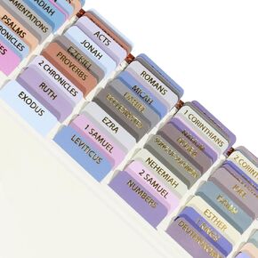 Idyllic Grace Laminated Bible Tabs for Women, Bible Study, Rose Gold Foil Indexing Labels, Bible Journaling, Durable, New and Old Testament, Christian, Catholic, Apocrypha, 90 Tabs - Elevated