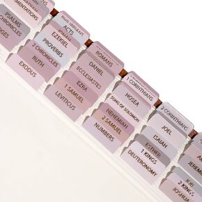 Idyllic Grace Laminated Bible Tabs for Women, Bible Study, Rose Gold Foil Indexing Labels, Bible Journaling, Durable, New and Old Testament, Christian, Catholic, Apocrypha, 90 Tabs - Elevated in Kuwait