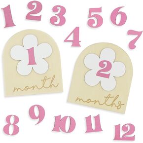 Flower Monthly Baby Milestone Cards, 1-12 Months Interchangeable Month Baby Milestone Signs, Months Baby Milestone Wooden Circles, Baby Announcement Sign, Newborn Photo Props (Wooden)
