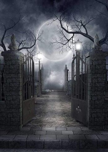 RUINI Halloween Theme Backdrop Halloween Full Moon Haunted House Backdrop Photo Props (5X7FT) in Saudi Arabia
