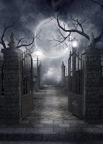 RUINI Halloween Theme Backdrop Halloween Full Moon Haunted House Backdrop Photo Props (5X7FT) in Saudi Arabia