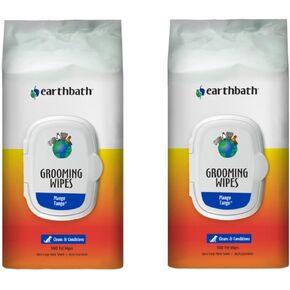 earthbath, Green Tea & Awapuhi Grooming Wipes - Dog Wipes for Paws and Butt, Best Pet Wipes for Dogs & Cats, Made in USA, Cruelty-Free Dog Cleaning Wipes, Removes Dirt & Dander - 100 Count (1 Pack)