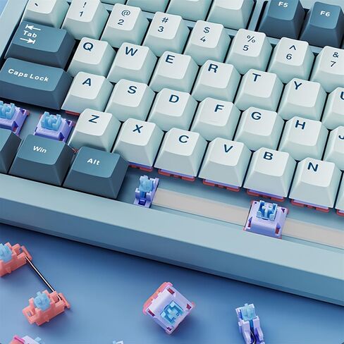 FKZ LT75 75% Wireless Mechanical Keyboard,Gasket Hot Swappable Custom RGB Backlit NKRO TKL Gaming Keyboard with Screen&Knob PBT Keycaps BT5.0/2.4G/Type-C Wired Keyboard for Office/Gamer (Black-Gray) in Saudi Arabia