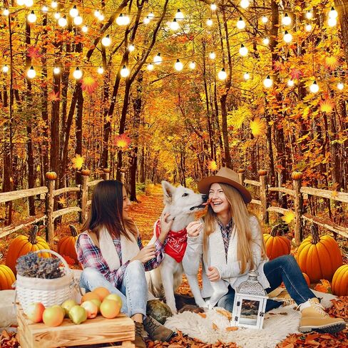 Avezano Fall Backdrops for Photography Autumn Maple Leaves Forest Path Photo Background Thanksgiving Holiday Portrait Photoshoot Backdrop Rustic Yellow Natural Harvest Pumpkin Banner (7x5ft) in Saudi Arabia