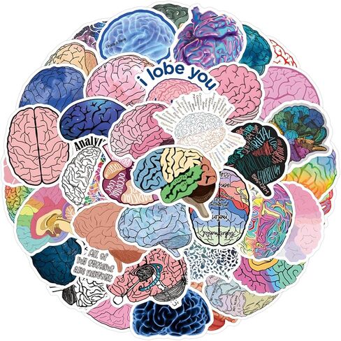 55PCS Colorful Brain Stickers Funny Stickers for Water Bottles Laptop Luggage Scrapbook Journaling, Eikecy Cute Cartoon Brain Stickers for Adults Kids Vinyl Waterproof Decals in Saudi Arabia