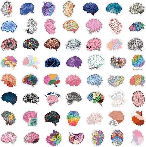55PCS Colorful Brain Stickers Funny Stickers for Water Bottles Laptop Luggage Scrapbook Journaling, Eikecy Cute Cartoon Brain Stickers for Adults Kids Vinyl Waterproof Decals in Saudi Arabia