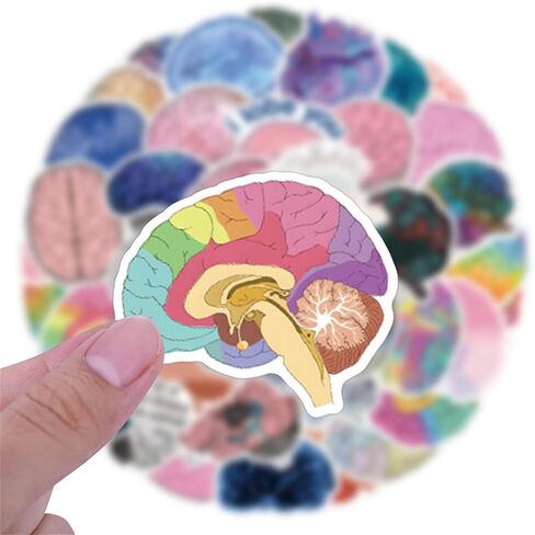 55PCS Colorful Brain Stickers Funny Stickers for Water Bottles Laptop Luggage Scrapbook Journaling, Eikecy Cute Cartoon Brain Stickers for Adults Kids Vinyl Waterproof Decals in Saudi Arabia
