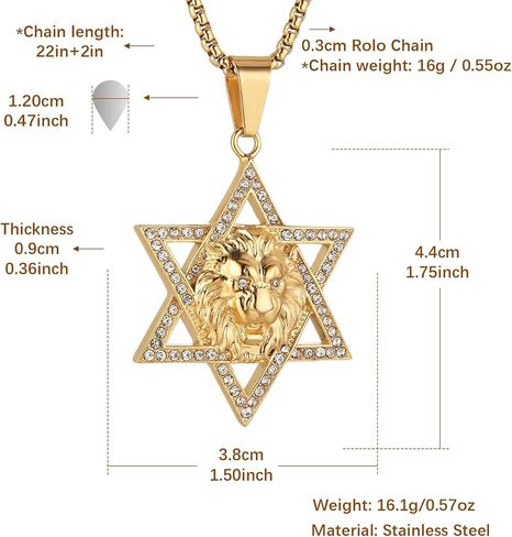 HZMAN 18K Gold Plated Lion Head Necklace Pendant for Men Boys Stainless Steel Hip Hop Rock Lion King Necklaces Charm Animal Amulet Jewelry in Saudi Arabia