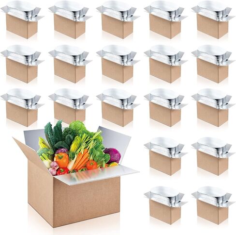 Nuanchu 10 Pieces Double Insulated Mailing Boxes with Aluminum Foil Insulated Bag Liner Cooler Small Mailing Box for Mailing Frozen Food Cold Mailing Boxes for Mailing Packing Moving, 9" x 5" x 6" in Saudi Arabia