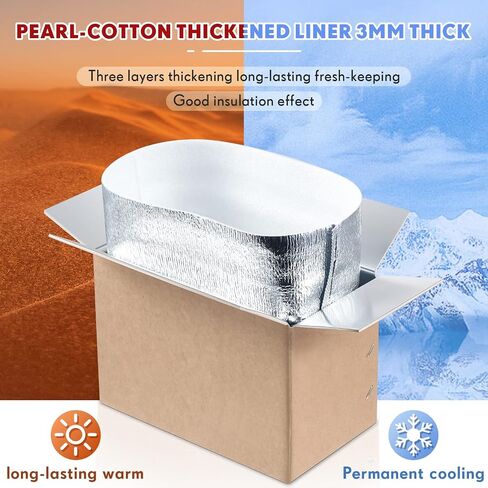 Nuanchu 10 Pieces Double Insulated Mailing Boxes with Aluminum Foil Insulated Bag Liner Cooler Small Mailing Box for Mailing Frozen Food Cold Mailing Boxes for Mailing Packing Moving, 9" x 5" x 6" in Saudi Arabia