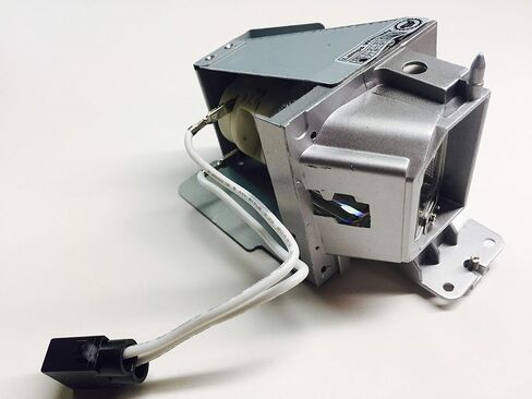 OEM BL-FP195D Lamp & Housing for Optoma Projectors with Osram Bulb Inside - 240 Day Warranty in Saudi Arabia