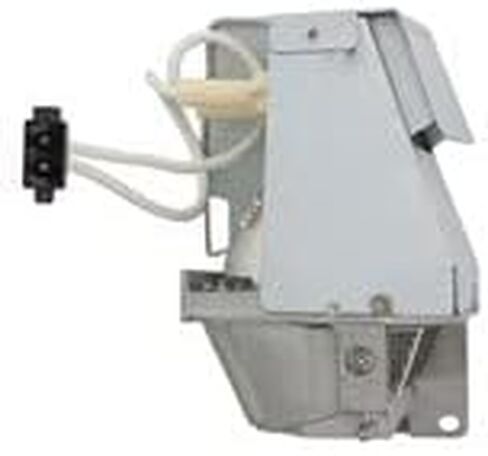 OEM BL-FP195D Lamp & Housing for Optoma Projectors with Osram Bulb Inside - 240 Day Warranty in Saudi Arabia