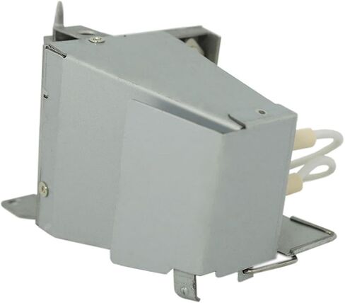 OEM BL-FP195D Lamp & Housing for Optoma Projectors with Osram Bulb Inside - 240 Day Warranty in Saudi Arabia