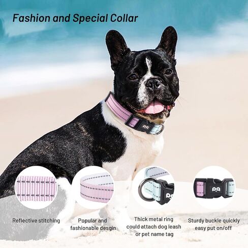 Dog Collar Cute Flower, Reflective Adjustable Basic Collars for Girl Female Small Medium Large Dogs Walking Running(X-Small,Purple) in Saudi Arabia