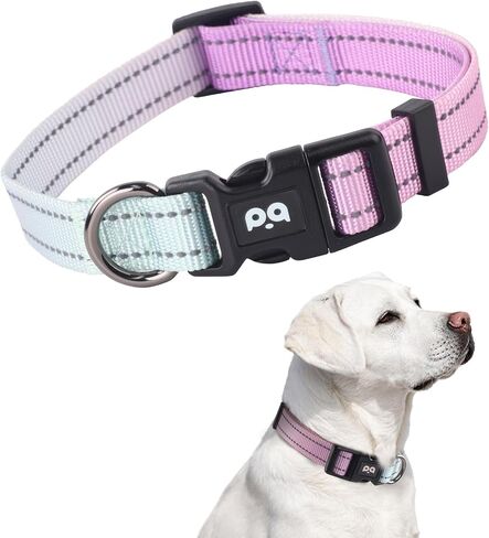 Dog Collar Cute Flower, Reflective Adjustable Basic Collars for Girl Female Small Medium Large Dogs Walking Running(X-Small,Purple) in Saudi Arabia