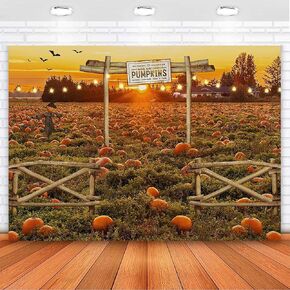 Avezano Fall Photo Backdrop Autumn Pumpkin Patch Harvest Thanksgiving Backdrop Halloween Pumpkin Field Photography Background Newborn Photobooth Props 7x5 ft, 83x59 inch