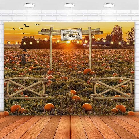 Avezano Fall Photo Backdrop Autumn Pumpkin Patch Harvest Thanksgiving Backdrop Halloween Pumpkin Field Photography Background Newborn Photobooth Props 7x5 ft, 83x59 inch in Saudi Arabia