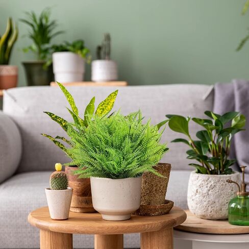 CEWOR 36 Bundles Fake Boston Fern Artificial Ferns for Outdoors Large Greenery Plants UV Resistant Faux Plastic Plants Shrubs for Garden Front Porch Window Box Indoor Outdoor Decoration in Saudi Arabia