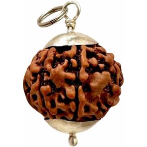 Zillion Craft 100% Original 7 Mukhi Rudraksha Bead with pure Silver Cap. 16-18 mm Standard size Nepali seven mukhi rudraksha. Natural Rudraksha with adjustable cord in Kuwait