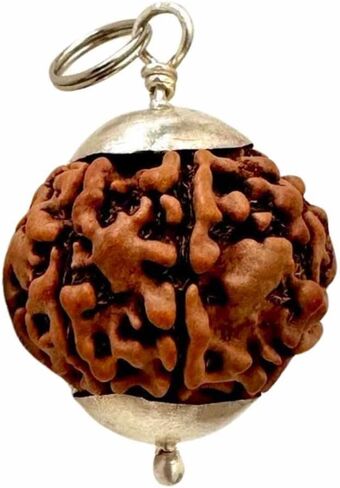 Zillion Craft 100% Original 7 Mukhi Rudraksha Bead with pure Silver Cap. 16-18 mm Standard size Nepali seven mukhi rudraksha. Natural Rudraksha with adjustable cord in Kuwait