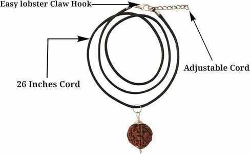 Zillion Craft 100% Original 7 Mukhi Rudraksha Bead with pure Silver Cap. 16-18 mm Standard size Nepali seven mukhi rudraksha. Natural Rudraksha with adjustable cord in Kuwait