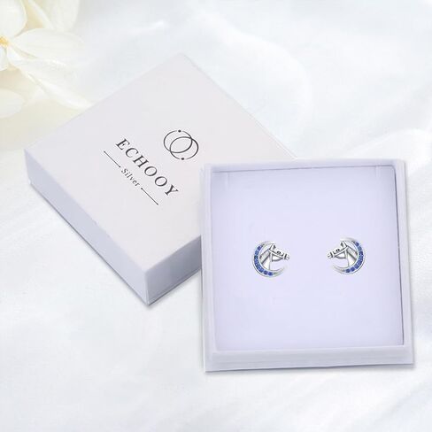 ECHOOY الحصان أقراط 925 الفضة الاسترليني لطيف الحصان الأقراط هيبوالرجينيك محظوظ الحصان مجوهرات هدايا الحصان عاشق هدية للنساء الفتيات المراهقات عيد ميلاد هدية عيد الحب in Kuwait