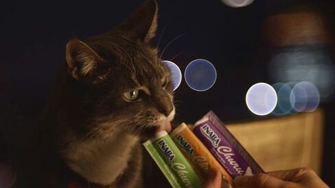 INABA Churu Chicken with Cheese Recipe Lickable Purée Natural Cat Treats 12 Tubes in Saudi Arabia