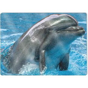 MightySkins Glossy Glitter Skin Compatible with Microsoft Surface Laptop 5 15" Full Wrap Kit - Dolphin Greeting | Protective, Durable High-Gloss Glitter Finish | Easy to Apply | Made in The USA